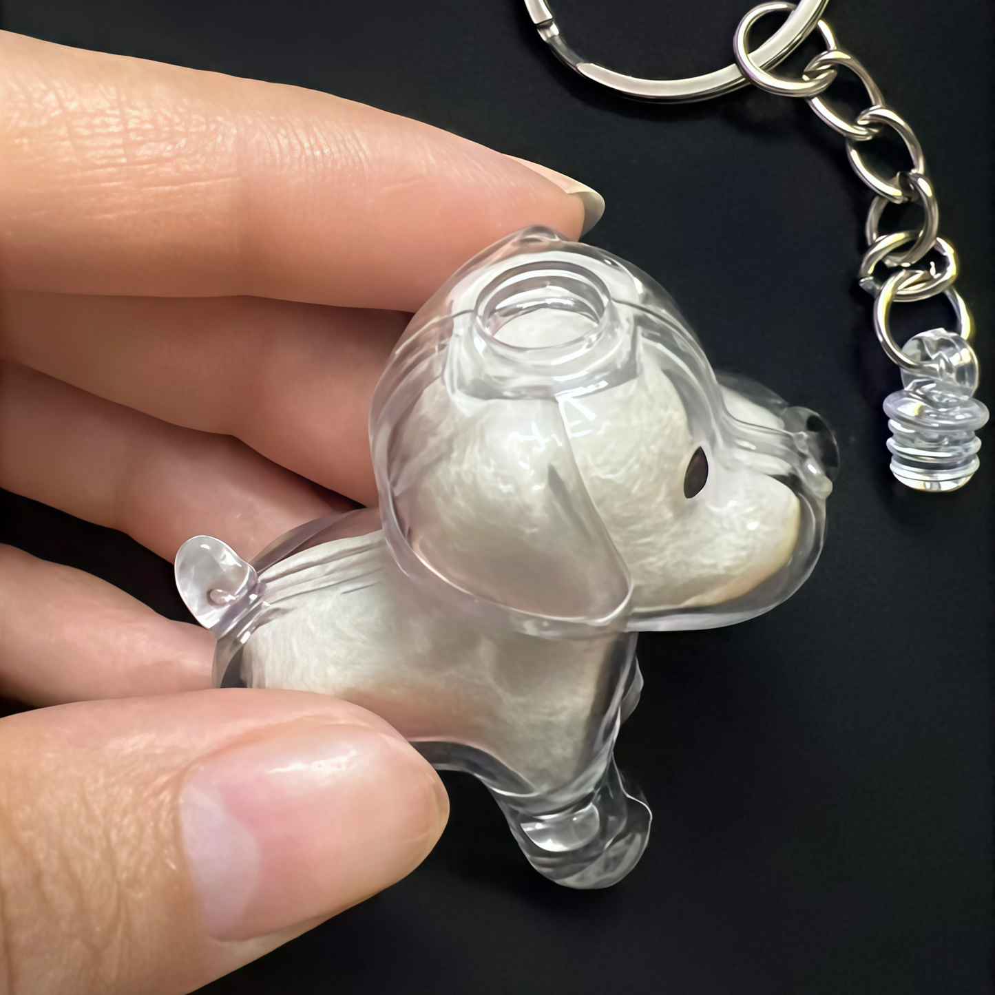 Transparent Case Fuzzy Ball Pendant Pet Hair Storage Keychain