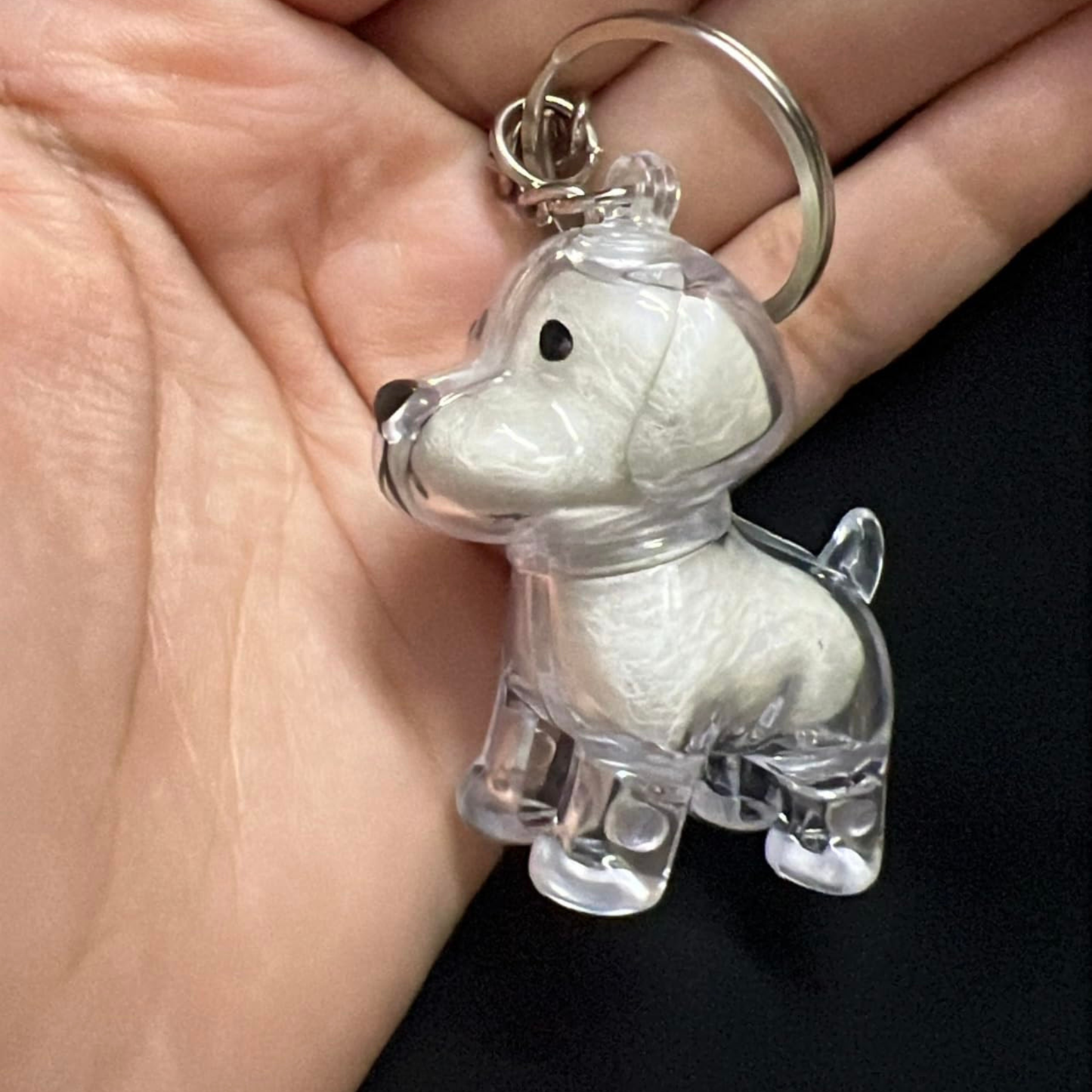 Transparent Case Fuzzy Ball Pendant Pet Hair Storage Keychain