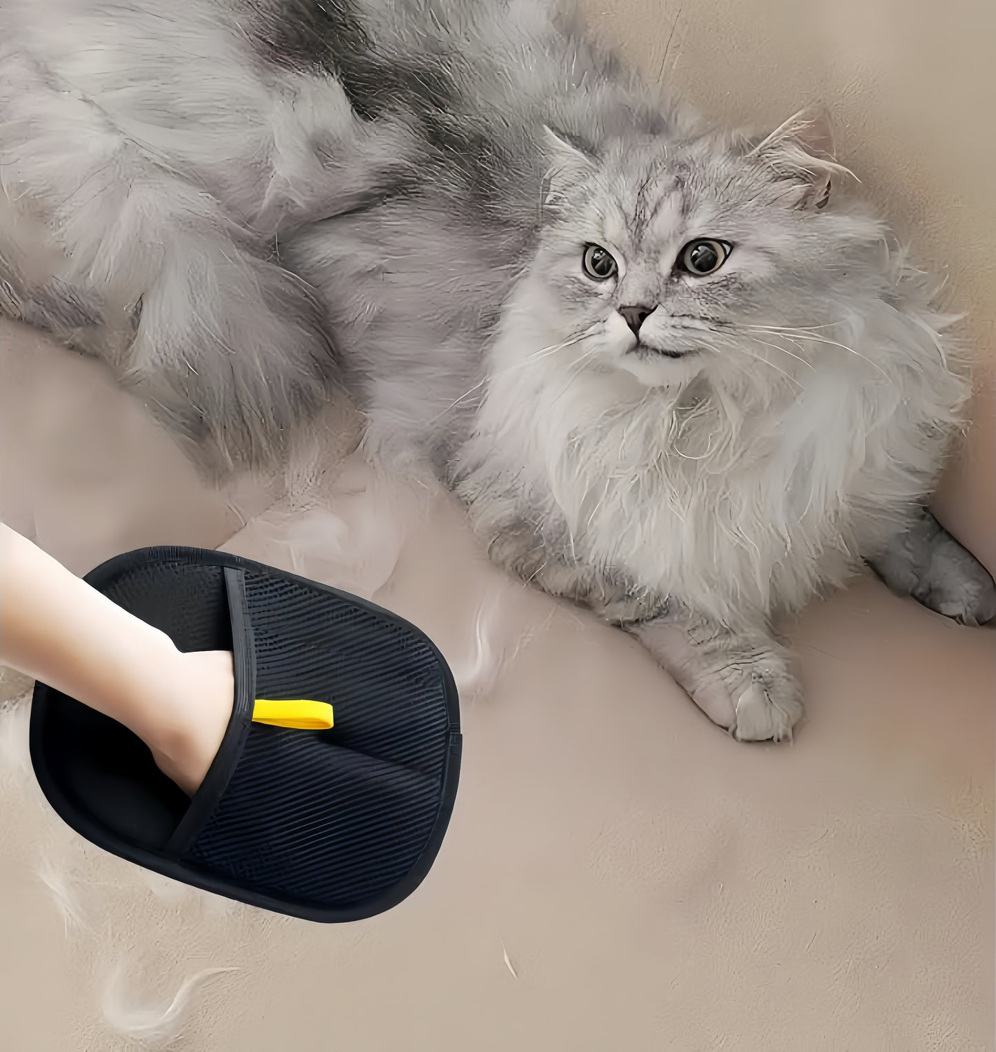 Cat Hair Remover Glove – Easy Pet Hair Cleaning for Furniture, Clothes & Cats