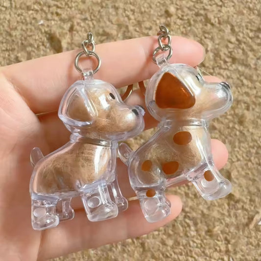 Transparent Case Fuzzy Ball Pendant Pet Hair Storage Keychain